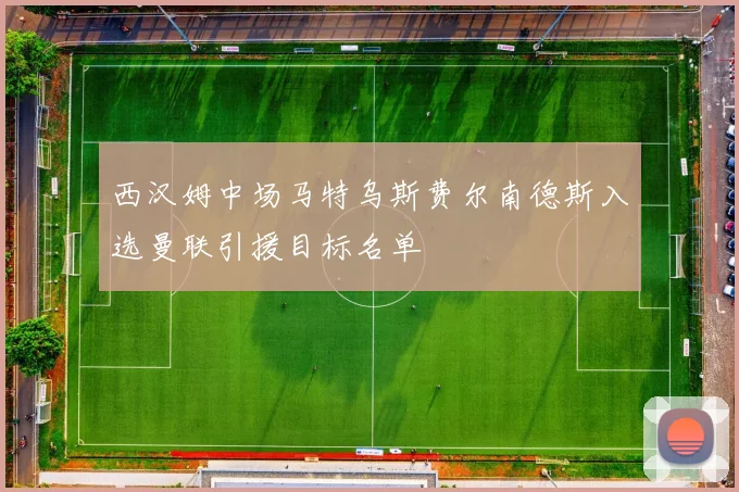 西汉姆中场马特乌斯费尔南德斯入选曼联引援目标名单